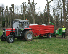 Pollarding with Tractor and Trailor