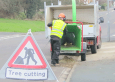 woodchipper for hire, top tree services