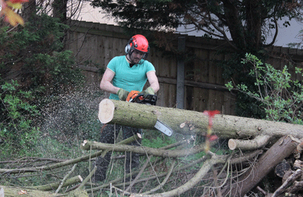 log cutting