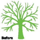 Before tree work image