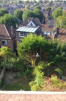 image from customer or Arborist Bristol