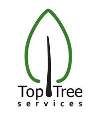 Tree Surgeons in Bristol