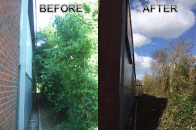 Site clearance Bristol Before & After
