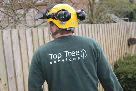 Tree Surgeons in Bristol