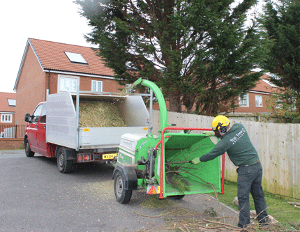 Tree Surgeons in Bristol