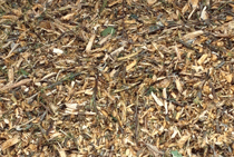 woodchip